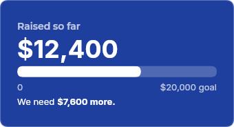 Fundraising goal bar rendered by DynaMail in white on blue, showing $12,400 raised of a $20,000 goal